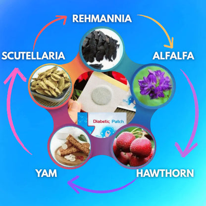 Gluco Care Herbal Blood Sugar Control Patches – Pack of 12